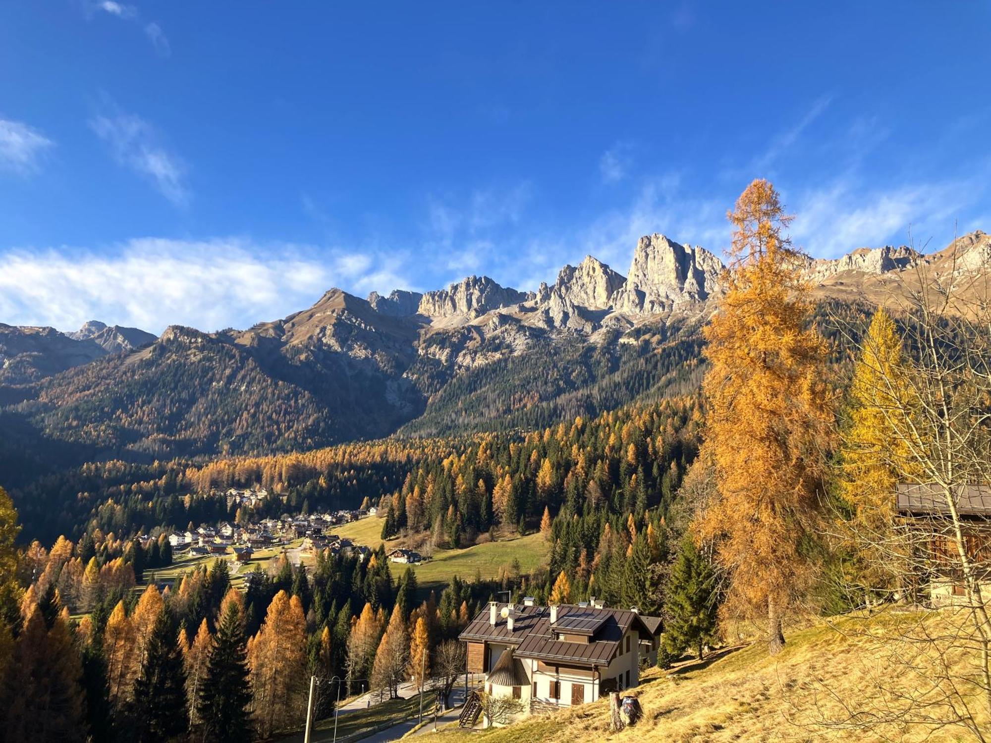 Appartamento Dolomiti Dream 1 Фалькаде Экстерьер фото